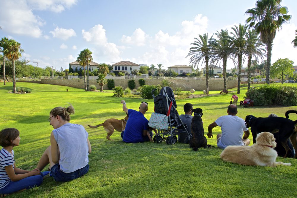 להשכרה למכירה בהרצליה